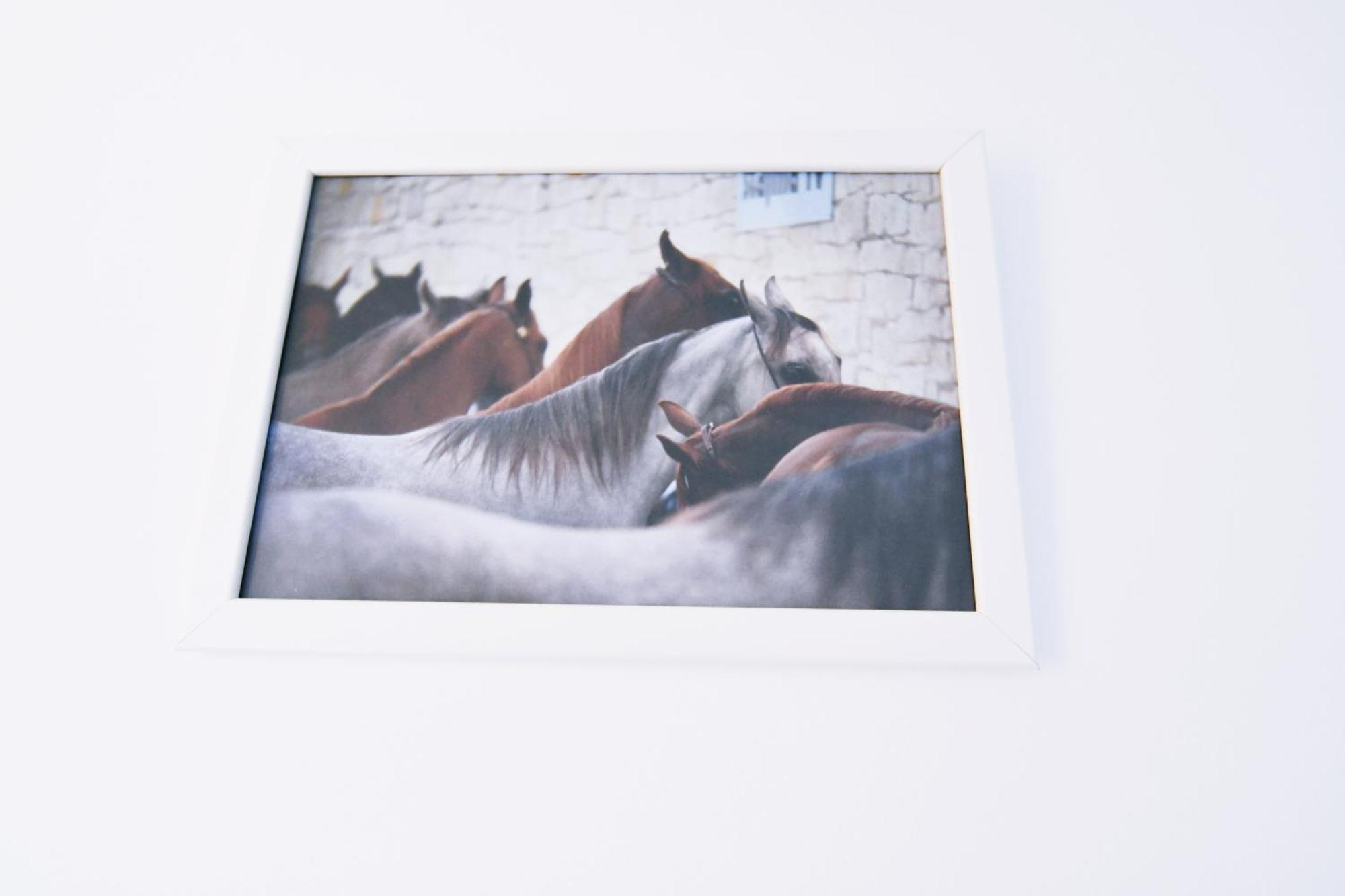 Bed & Breakfast Equitare Rural Miranda do Corvo Exterior foto