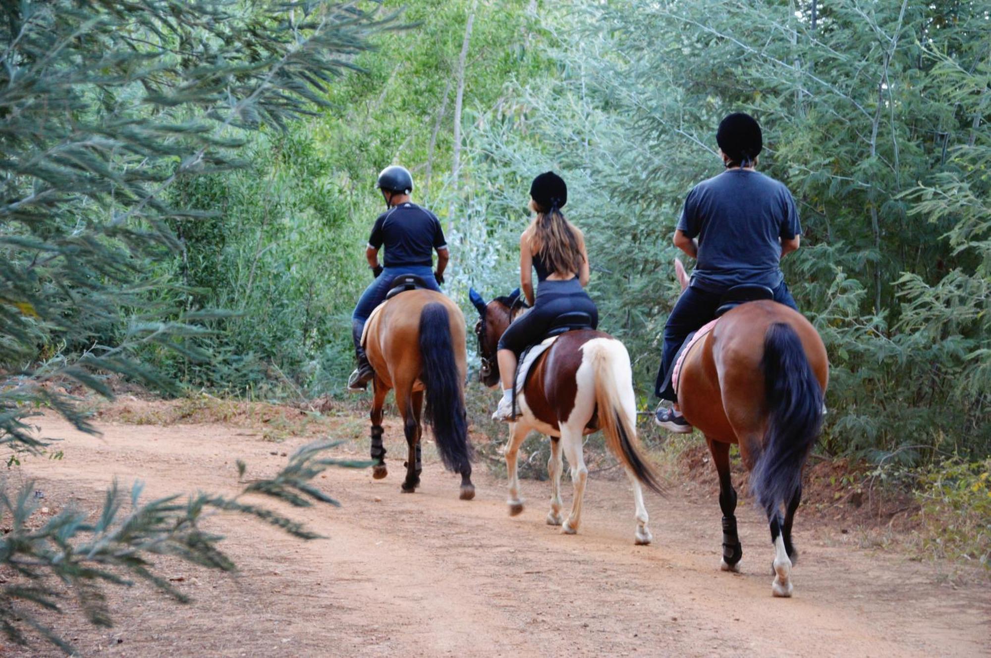 Bed & Breakfast Equitare Rural Miranda do Corvo Exterior foto